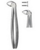 Tooth Forceps for Children  